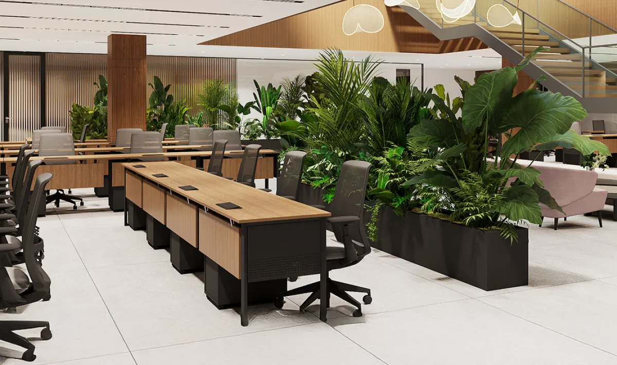 Office room decoration using plants for freshness and balance