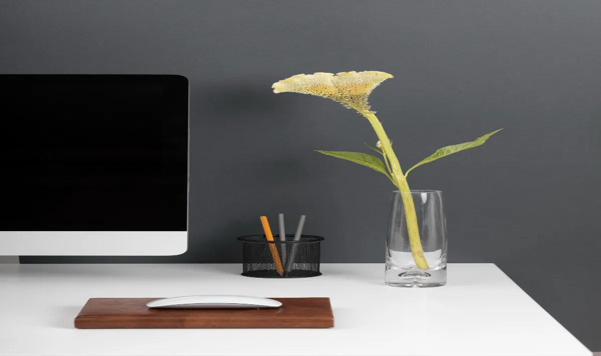 Office Table Decoration Ideas for A Stylish and Productive Workspace