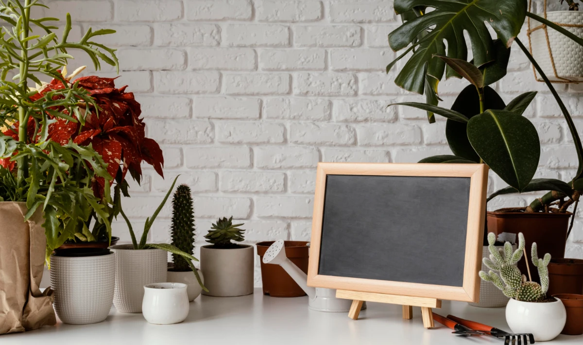 Small welcome showpiece on a desk adding charm and a stylish accent