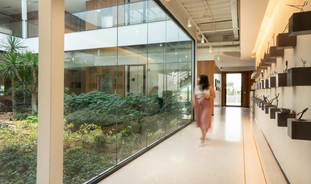 Biophilic white office interior with indoor plants and natural lighting