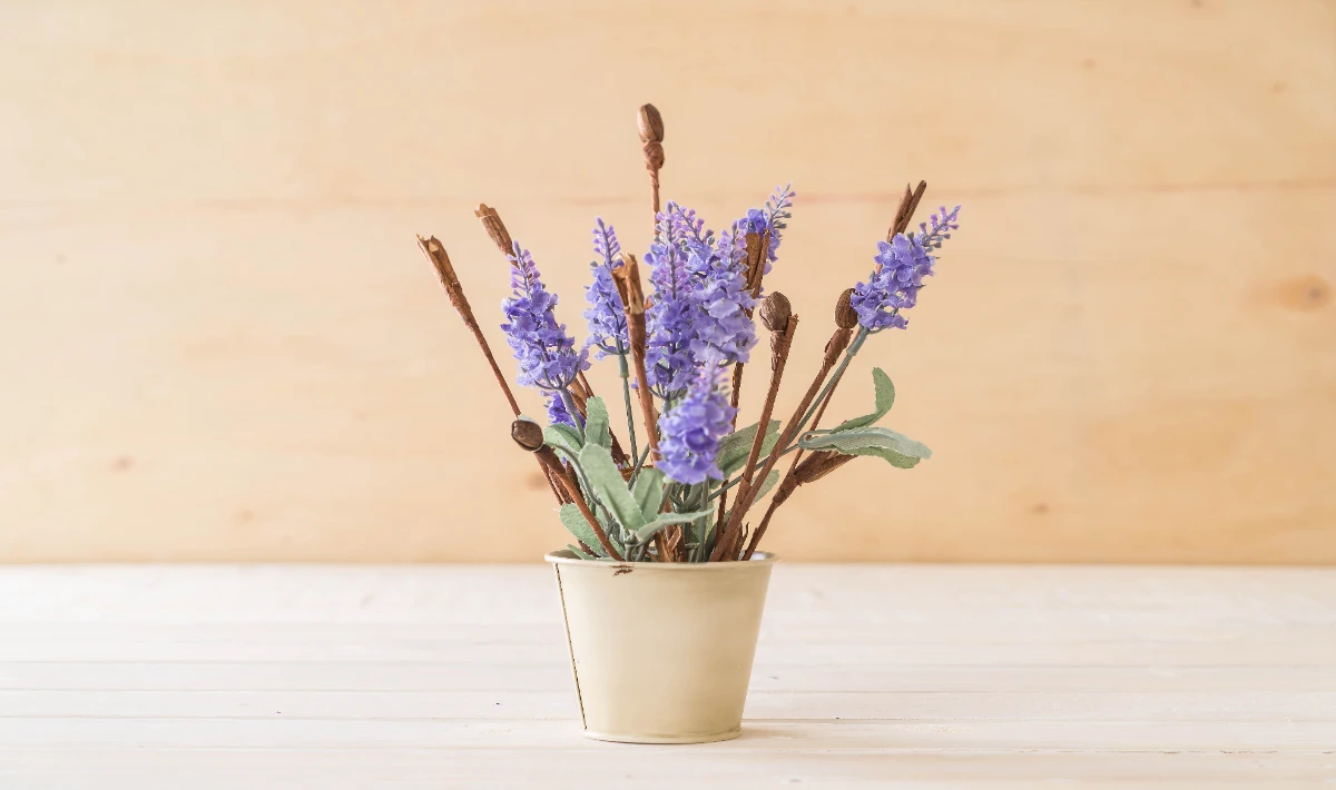 Lavender plant on office desk adding soft scent and peaceful energy