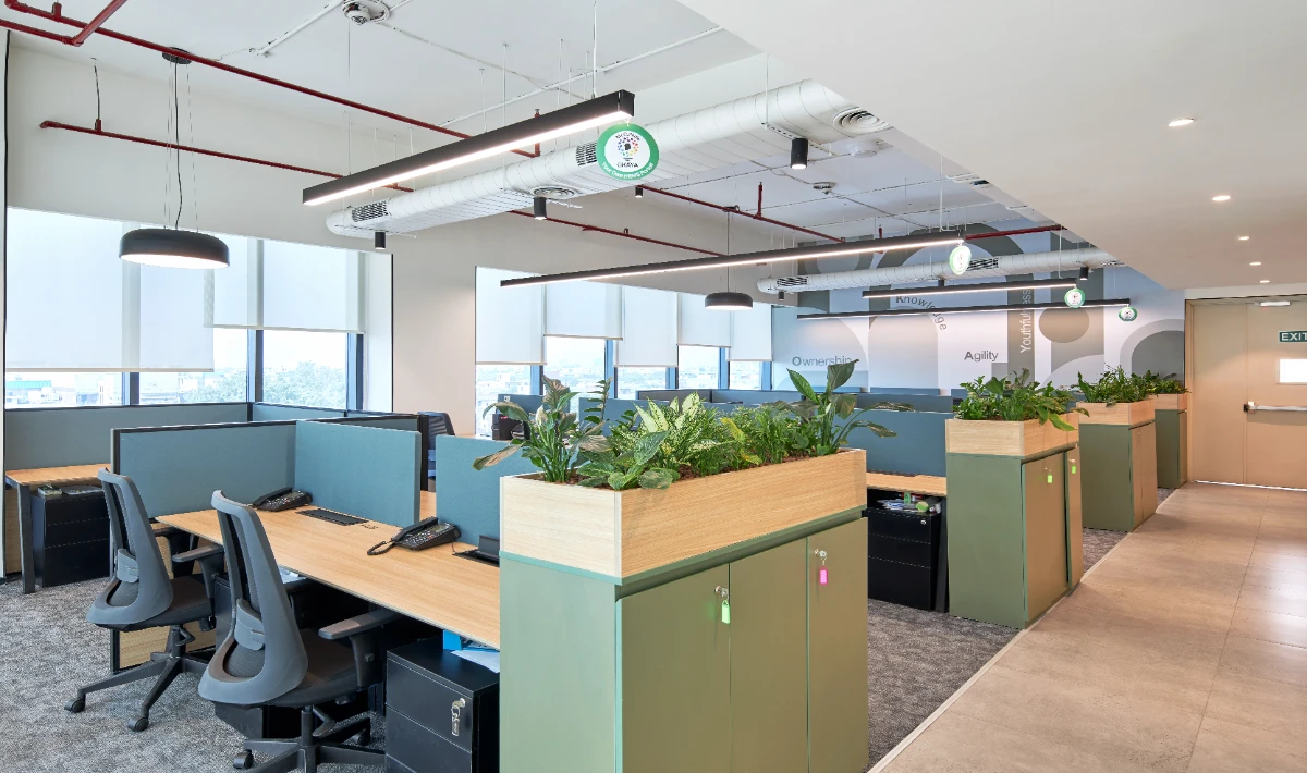 Custom brand mural wall design showcased in a modern office lobby