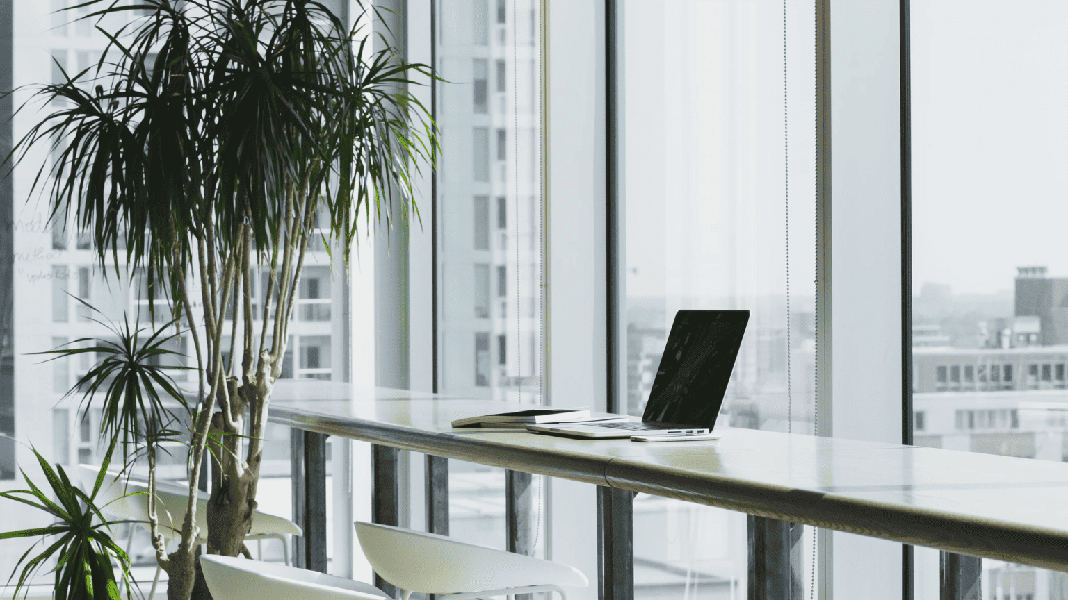 Biophilia workplace