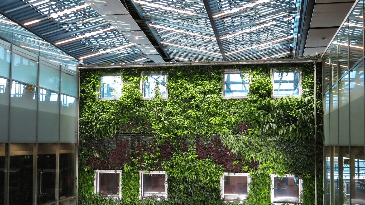 Biophilia