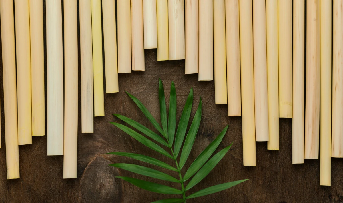 Sustainable Wall Panel Design