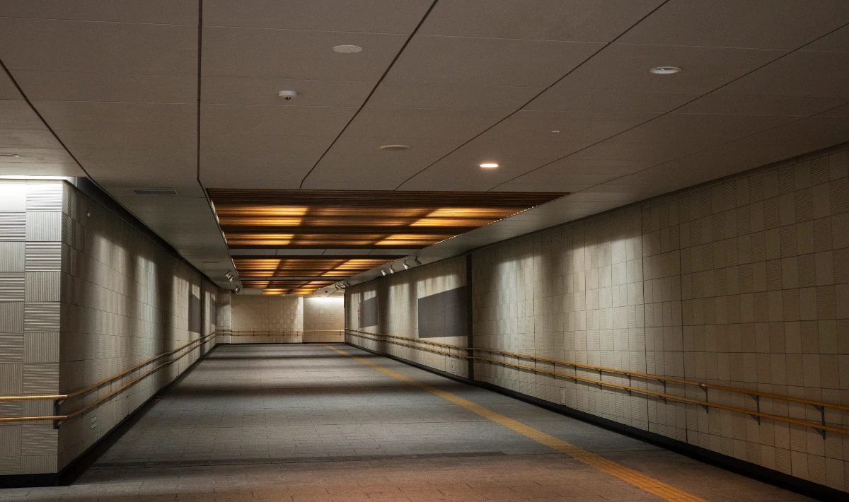 Matte gypsum ceiling surface reducing glare in offices
