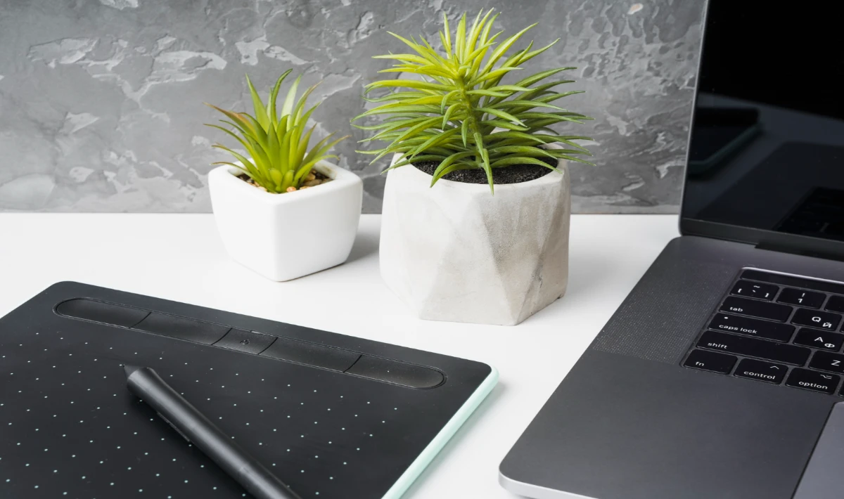 Money plant on office desk adding calm focus and steady positive energy