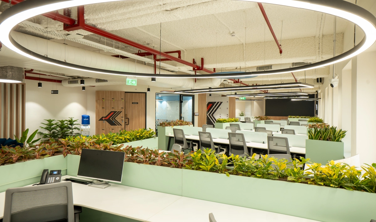 Office Peacocking: How Office Design Reflects Identity and Culture