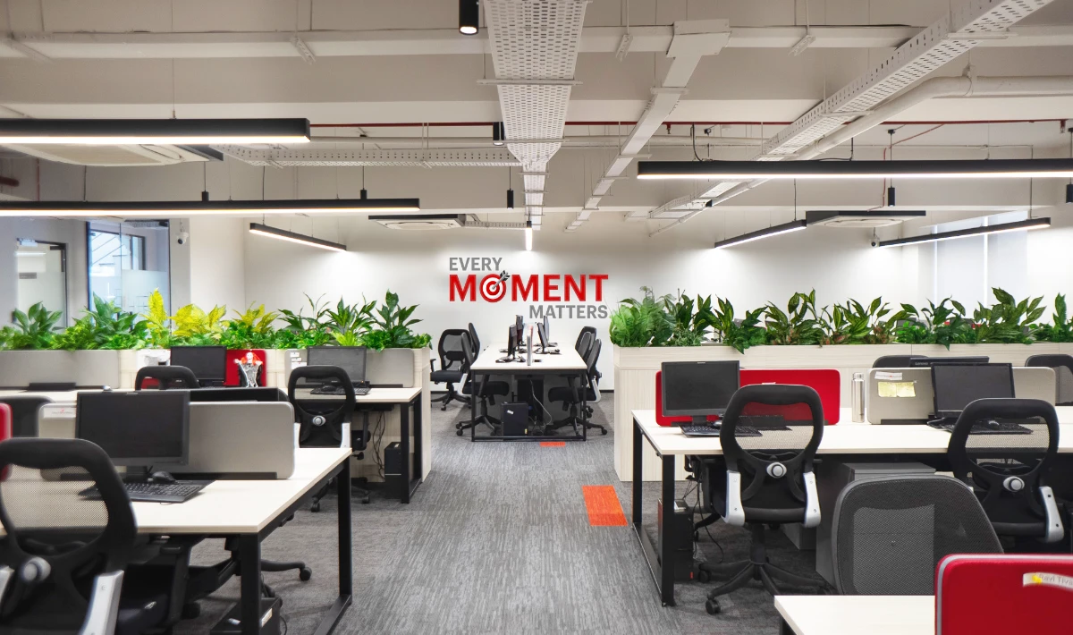 Creative wall decals adding style to modern office interiors.