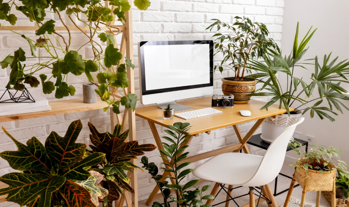 Office pantry with indoor plants and natural wood finishes at the workplace