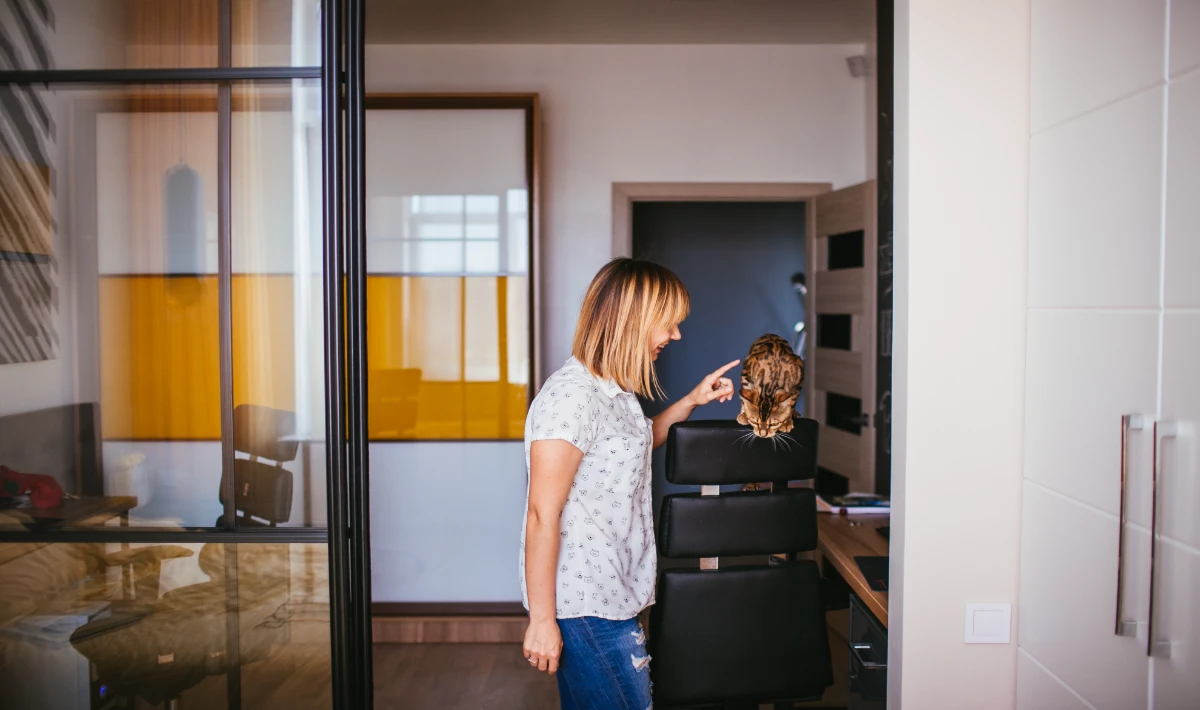 Sliding door systems used in interior design for small office space