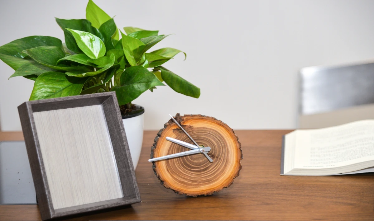 Small desk tray holding essentials neatly for a clutter-free workstation