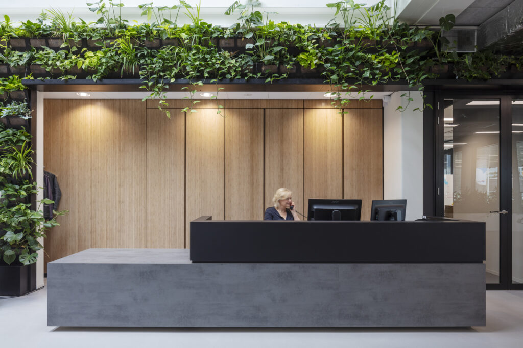 Office Reception Ceiling Design