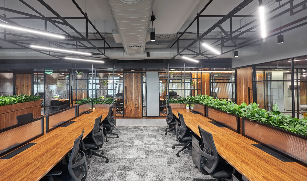 Sustainable office interior created by using eco-friendly materials