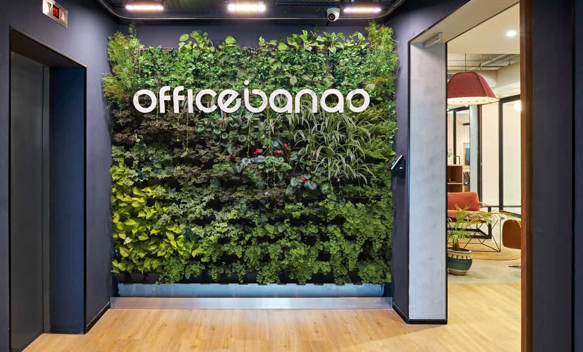 Eco-friendly office interior ideas