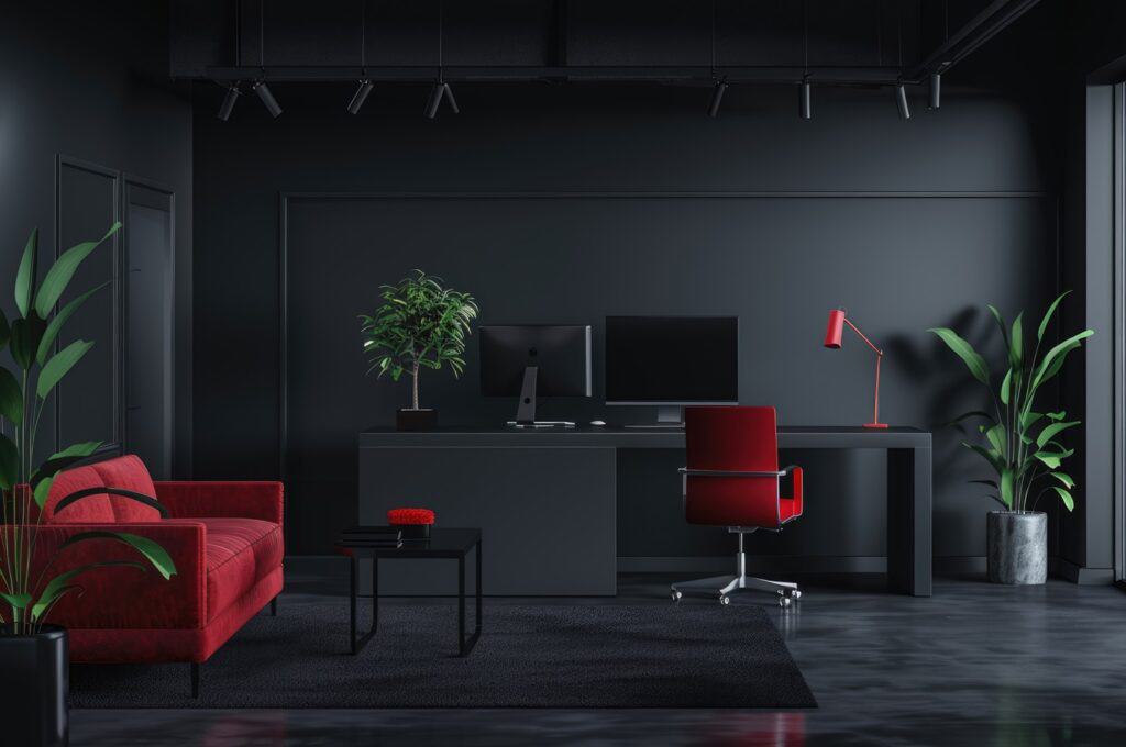 Black colour Interior ideas