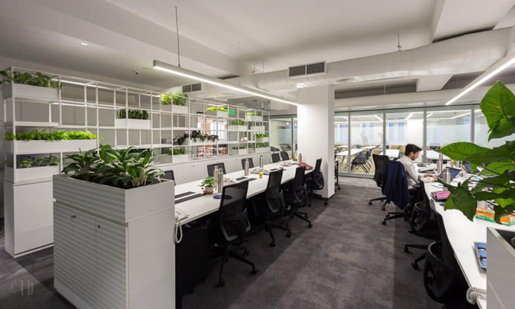 Eco-friendly office space