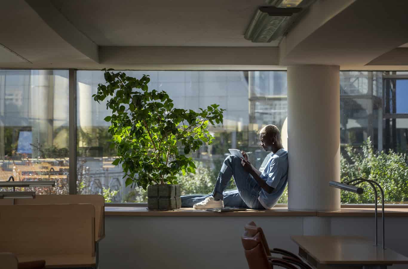 Emphasise Natural Light and Ventilation