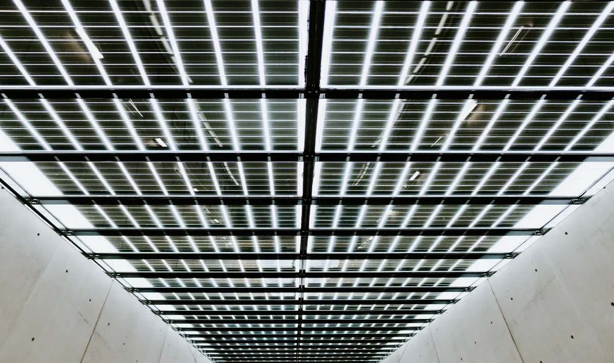 Exposed ceiling with false panels showcasing a modern workspace look.